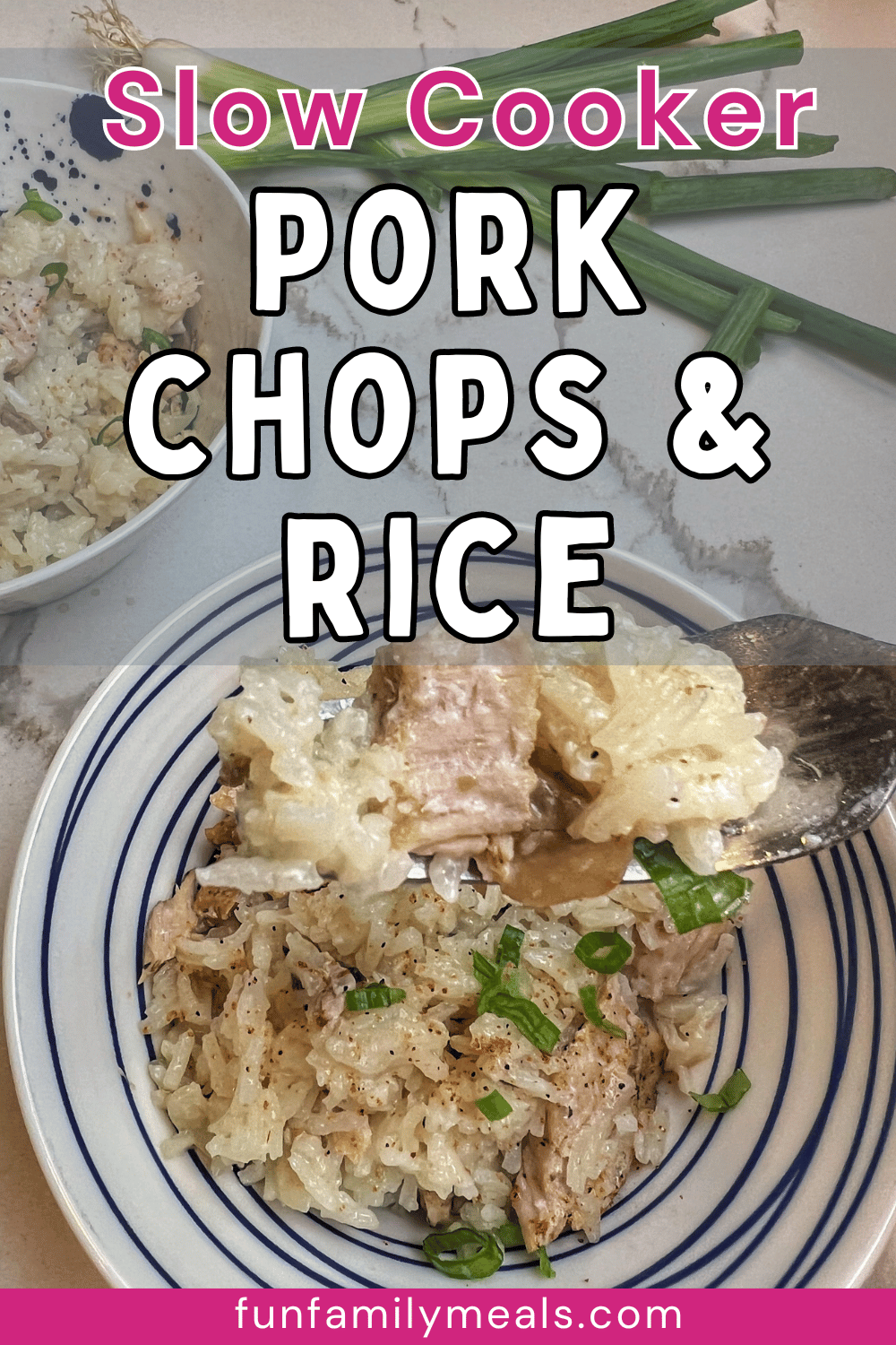 Easy Slow Cooker Pork Chops with Rice Fun Family Meals