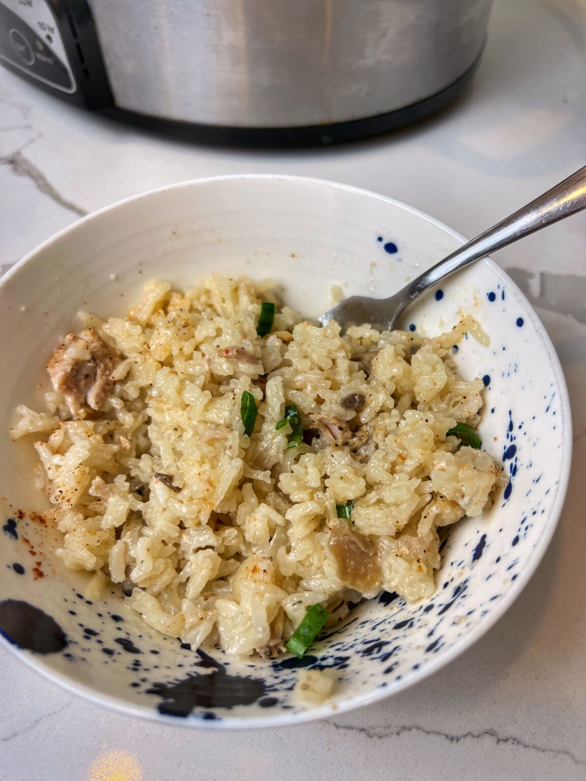 Easy Slow Cooker Pork Chops with Rice Fun Family Meals