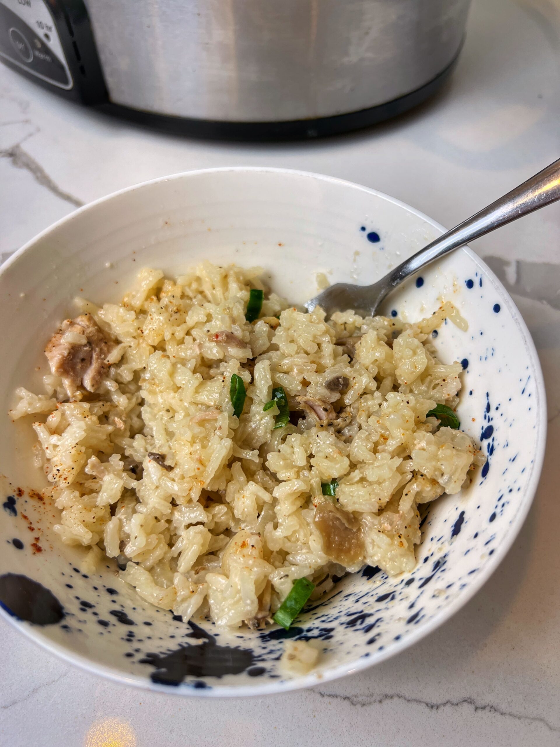 Easy Slow Cooker Pork Chops with Rice Fun Family Meals