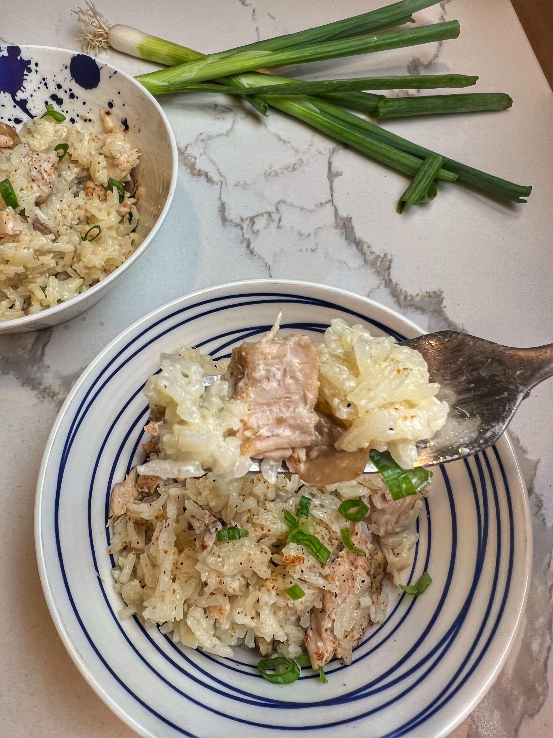 Easy Slow Cooker Pork Chops with Rice Fun Family Meals